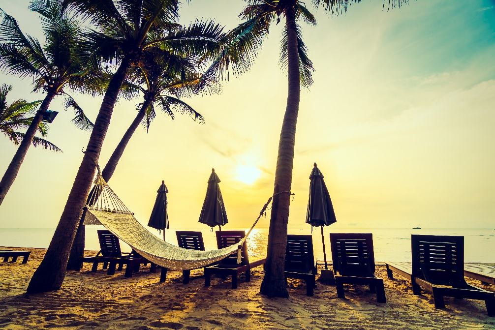 The Best Time to Visit Goa: A Seasonal Guide