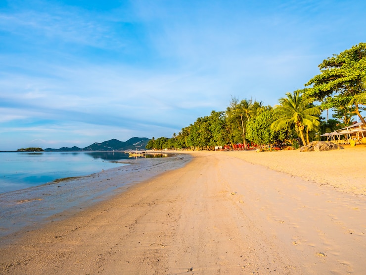 Arambol Beach