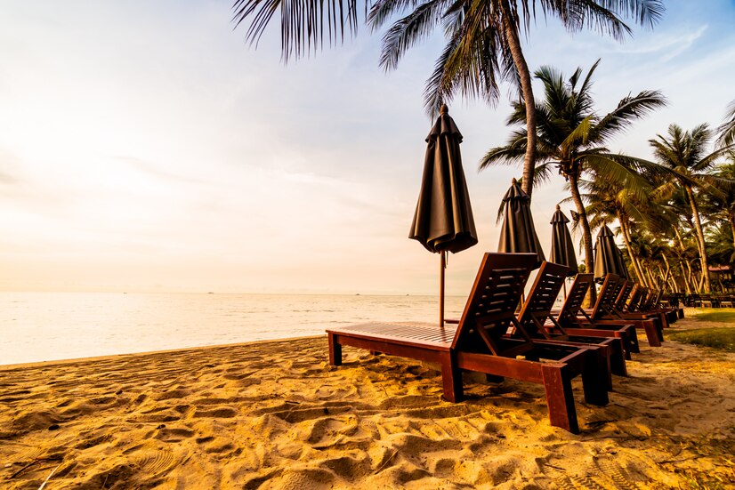 Best Places To Visit In Goa In November 2024