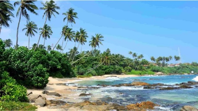 goa sightseeing book car with driver